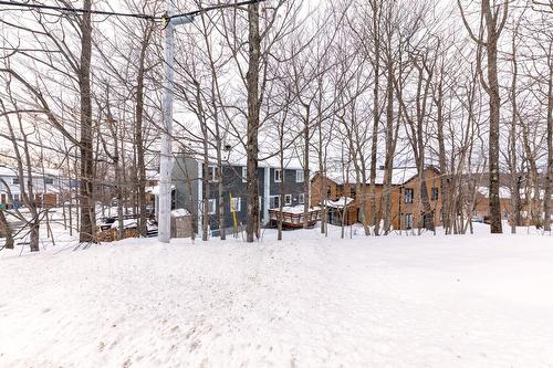 Cour - 208  - 210 Ch. Boulanger, Sutton, QC - Outdoor