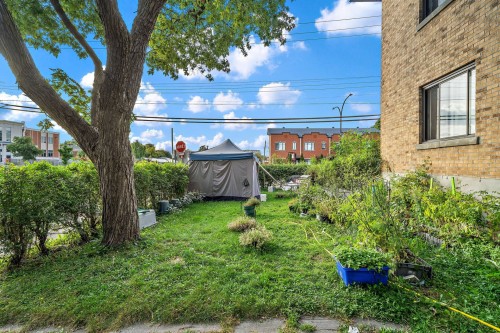 Garden - 2145  - 2151 Rue Bonin, Montréal (Saint-Laurent), QC - Outdoor