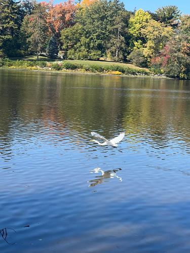 Vue sur l'eau - 13 Rue Alfred, Laval (Sainte-Rose), QC - Outdoor With Body Of Water With View