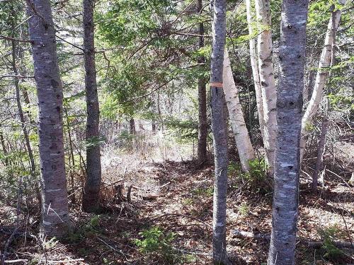 Evanston Rd, Evanston, NS 