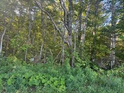 2832 RTE 14  Glenwood, PE C0B 1V0