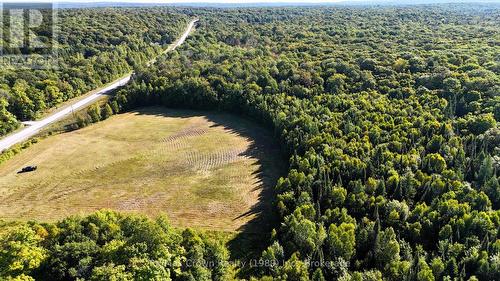 0 Hwy 522 Highway, Parry Sound Remote Area (Pringle), ON 