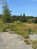 17 Batson's Road  Port Rexton, NL A0C 2H0