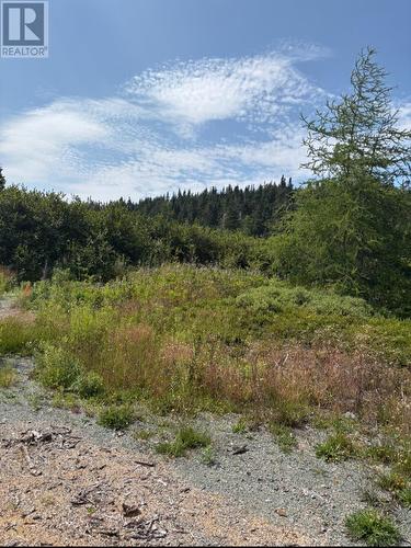 17 Batson'S Road, Port Rexton, NL 