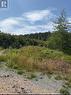 17 Batson'S Road, Port Rexton, NL 