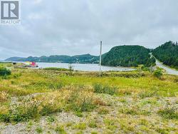 235-241 Harbour Drive  Dunville, Placentia, NL A0B 1S0