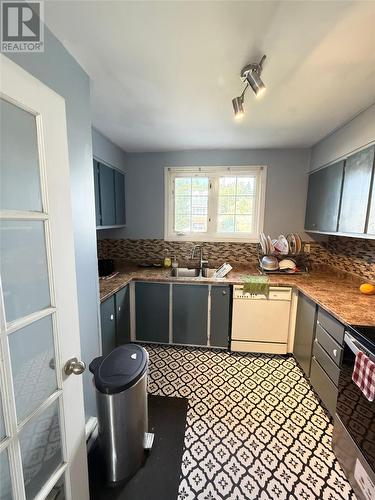 119 Cumberland Crescent, St. John'S, NL - Indoor Photo Showing Kitchen With Double Sink