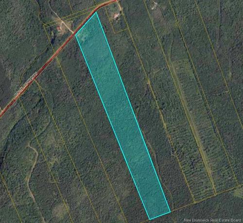 Lot Route 440, Rosaireville, NB 