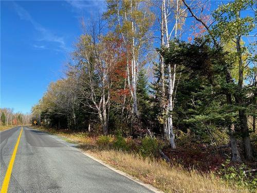 Lot Route 440, Rosaireville, NB 