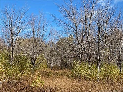 Lot Route 440, Rosaireville, NB 