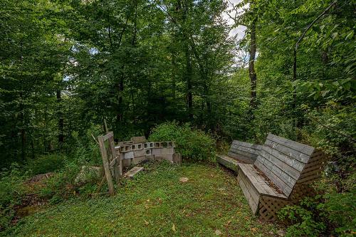Backyard - 62 Ch. Lakeview, Saint-Adolphe-D'Howard, QC - Outdoor
