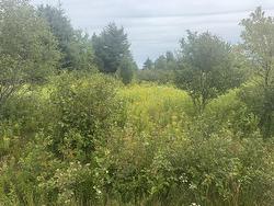 735 Clements Road  White Sands, PE C0A 1W0