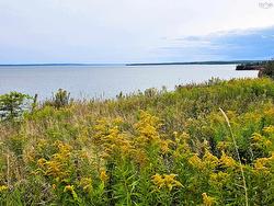 4614 Highway 2  Upper Economy, NS B0M 1B0