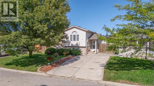 3580 KLONDIKE AVENUE  Windsor, ON N8W 5T2