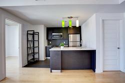 704-1045 Rue Wellington  Montréal (Le Sud-Ouest), QC H3C 1V6