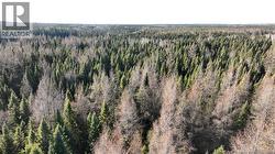 3.34 HEC HWY 430 Chaplin Island Road, NB E2L 4K1