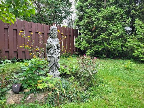 Terre/Terrain - 727 Rue Bourdon, Neuville, QC - Outdoor