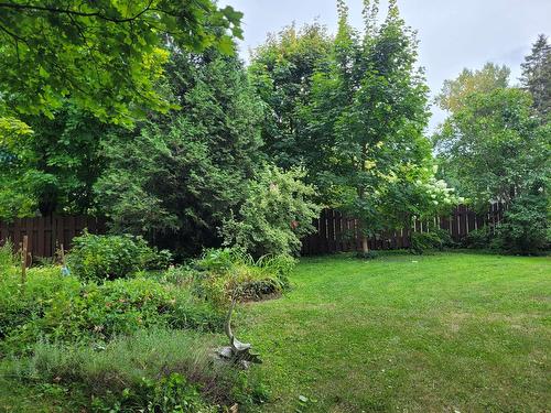 Terre/Terrain - 727 Rue Bourdon, Neuville, QC - Outdoor