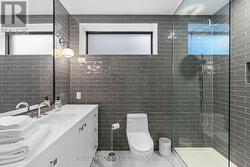 Lower Level Second Bathroom - 