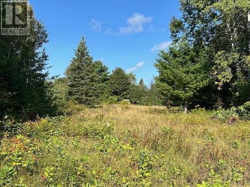 13 Riverview Dr, Iron Bridge, ON 