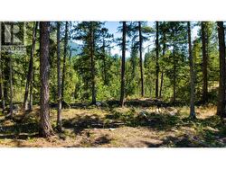 16300 Wadds Road  Crawford Bay, BC V0B 1E0