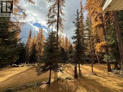 2640 3B Highway  Rossland, BC V0G 1Y0