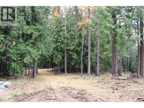 2640 3B Highway, Rossland, BC 