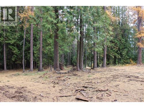 2640 3B Highway, Rossland, BC 