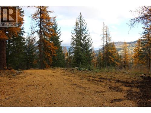 2640 3B Highway, Rossland, BC 