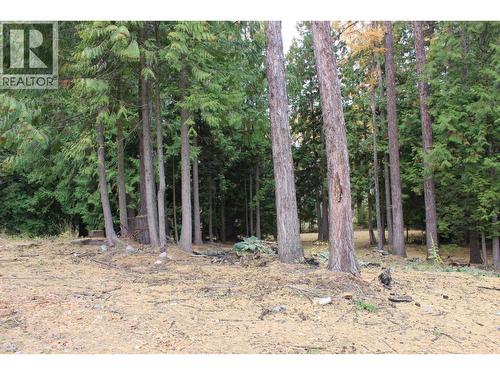 2640 3B Highway, Rossland, BC 