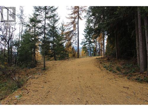 2640 3B Highway, Rossland, BC 