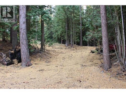 2640 3B Highway, Rossland, BC 