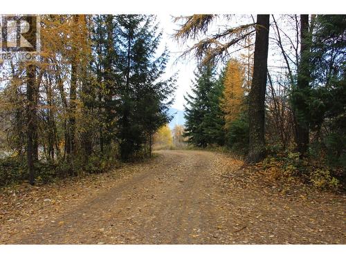 2640 3B Highway, Rossland, BC 