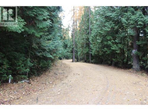 2640 3B Highway, Rossland, BC 