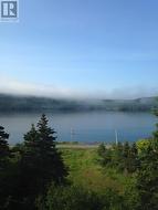 126 Harbour Drive  Dunville, NL A0B 1S0