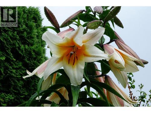 515 Vanderlinde Drive, Keremeos, BC - Outdoor