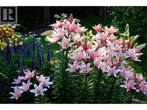 515 Vanderlinde Drive, Keremeos, BC - Outdoor