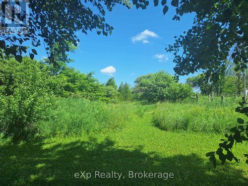 Entrance To Orchard Walking Trails - 125 Lake Drive, West Grey, ON - Outdoor With View