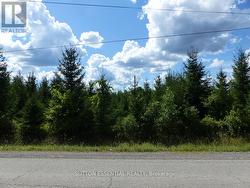 0 COUNTY ROAD 46 ROAD  Elizabethtown-Kitley, ON K0E 1M0