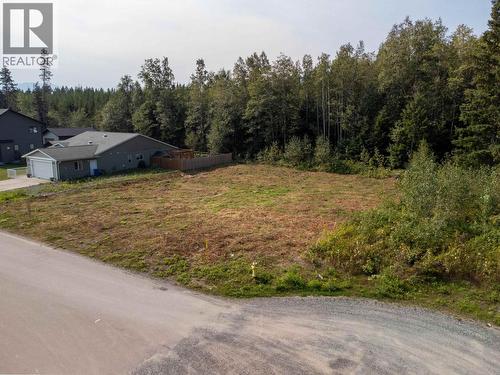 3913 Cory Drive, Terrace, BC 