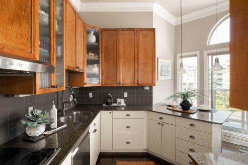 518-10 Paul Kane Pl, Victoria, BC - Indoor Photo Showing Kitchen With Double Sink