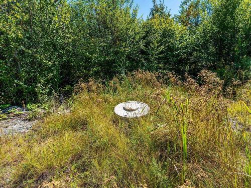 Lot 21-5 Second Division Road, Grosses Coques, NS 
