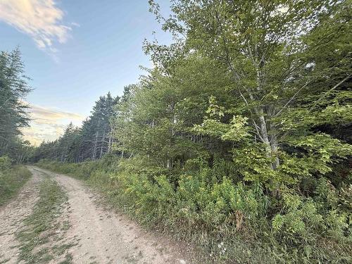 Hillside Road, Southside Boularderie, NS 