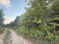 Hillside Road  Southside Boularderie, NS B1Y 2R2