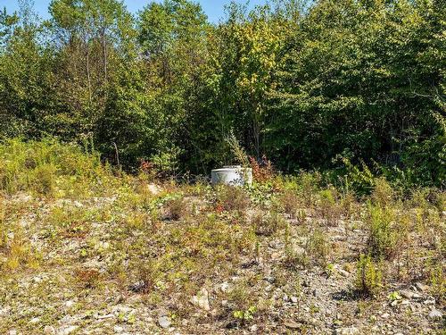 Lot 21-6 Second Division Road, Grosses Coques, NS 