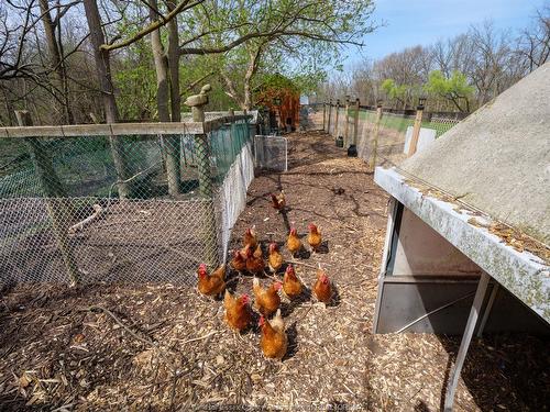 453 Elmstead, Lakeshore, ON 