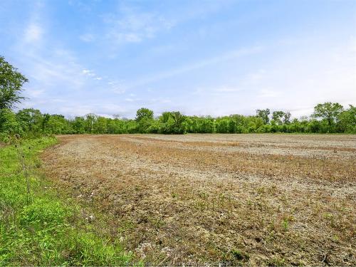 453 Elmstead, Lakeshore, ON 