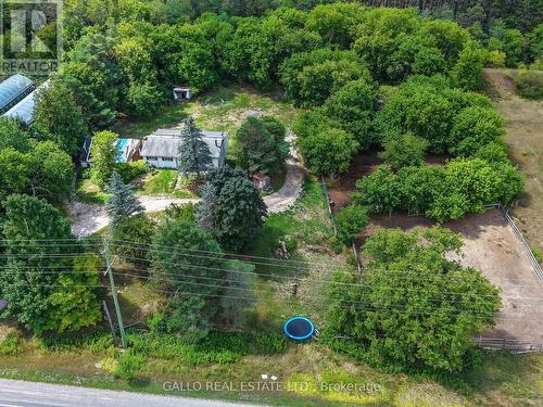 southern half of property - 16558 Highway 48, Whitchurch-Stouffville, ON - Outdoor