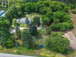 southern half of property - 