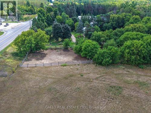 paddock view from the north - 16558 Highway 48, Whitchurch-Stouffville, ON - Outdoor